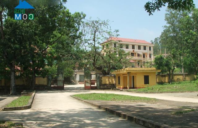 Hình ảnh Bỉm Sơn, Thanh Hóa