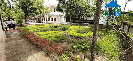 Hình ảnh Ngọc Sơn, Thanh Hóa