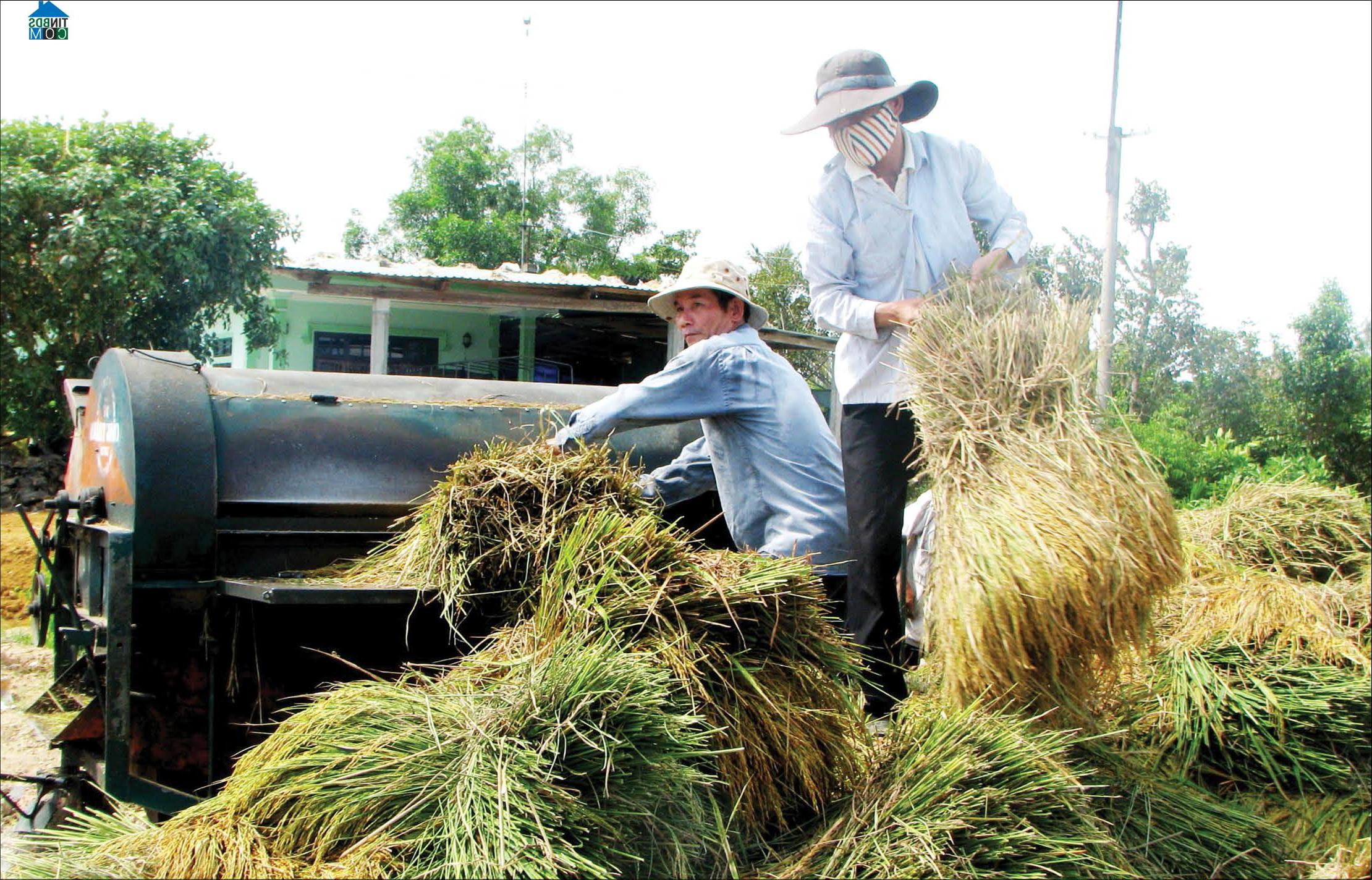 Hình ảnh Phong Thái, Huế