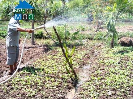 Hình ảnh Phú Hồ, Huế