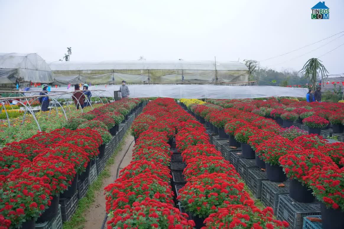 Hình ảnh Dương Nỗ, Huế