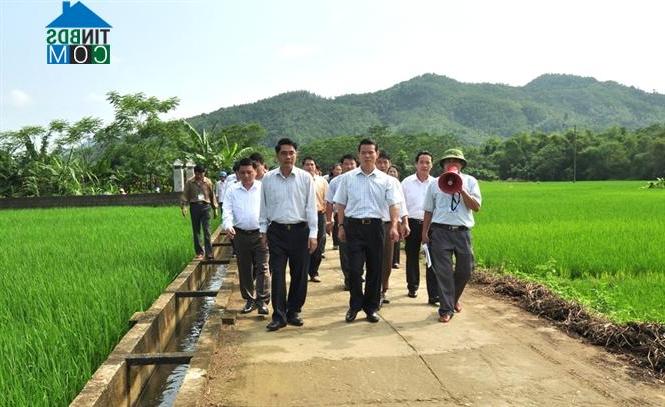 Hình ảnh Đồng Yên, Tuyên Quang