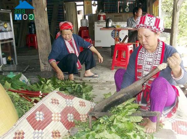 Hình ảnh Nậm Dịch, Tuyên Quang