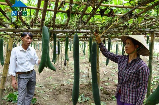 Hình ảnh Thái Bình, Tuyên Quang