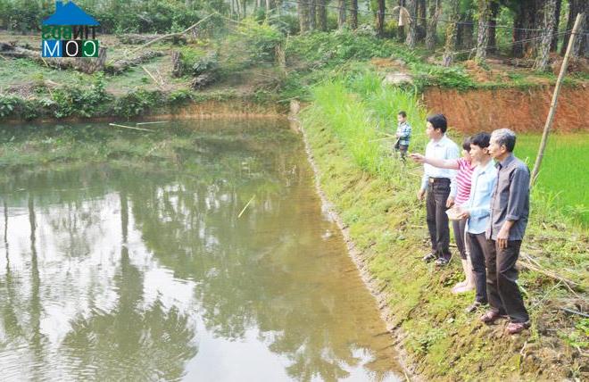 Hình ảnh Thái Sơn, Tuyên Quang