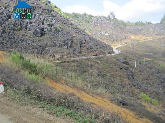 Hình ảnh Sà Phìn, Tuyên Quang