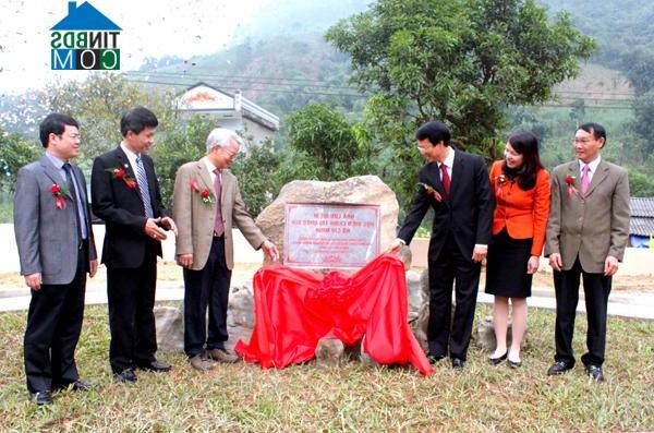 Hình ảnh Tân Long, Tuyên Quang