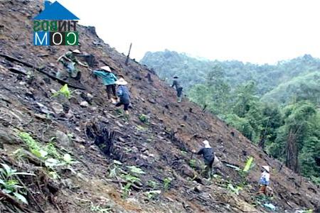 Hình ảnh Tân Mỹ, Tuyên Quang