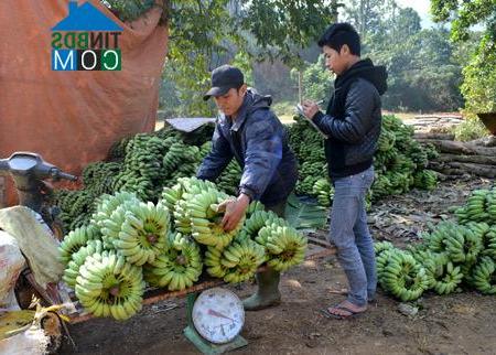 Hình ảnh Xuân Vân, Tuyên Quang