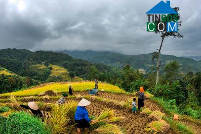 Hình ảnh Yên Minh, Tuyên Quang