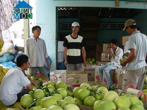 Hình ảnh Cầu Ngang, Vĩnh Long