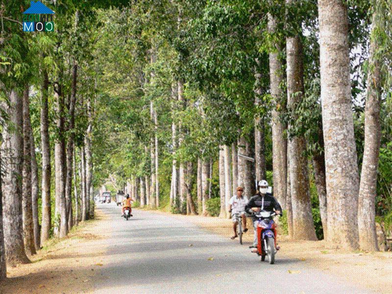 Hình ảnh Đại Điền, Vĩnh Long