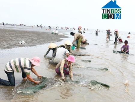 Hình ảnh Thới Thuận, Vĩnh Long