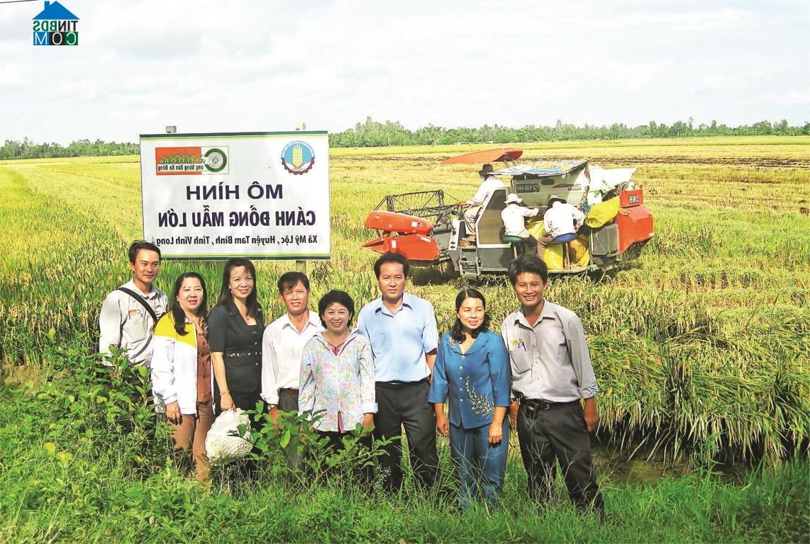 Hình ảnh Cái Ngang, Vĩnh Long
