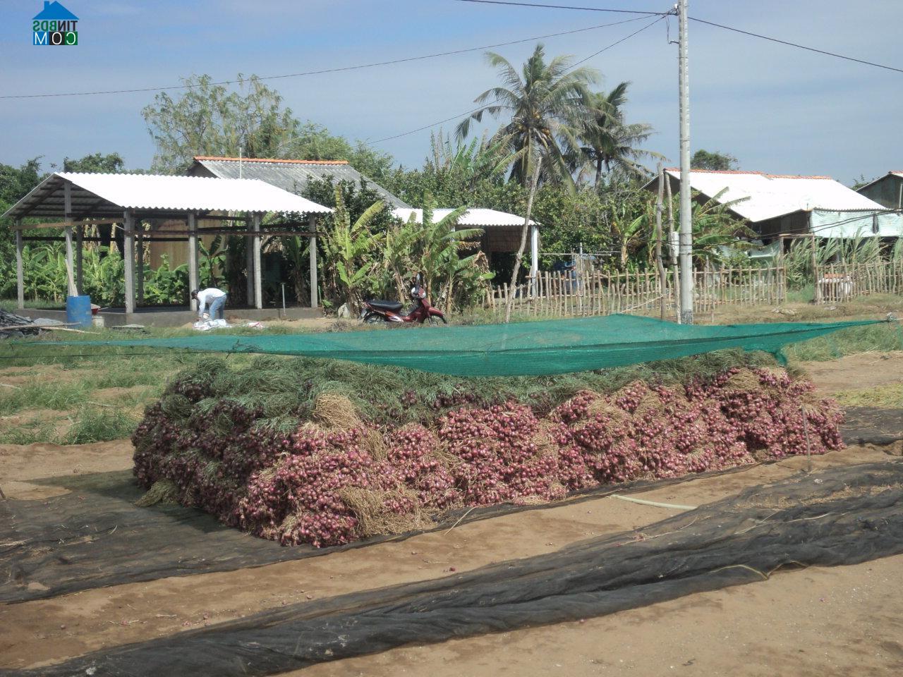 Hình ảnh Đông Hải, Vĩnh Long