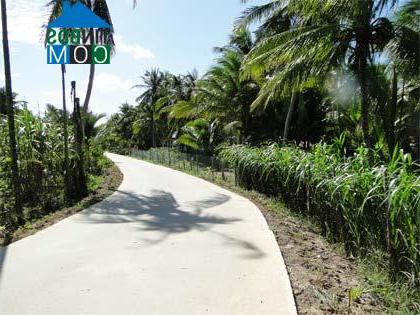 Hình ảnh Đồng Khởi, Vĩnh Long