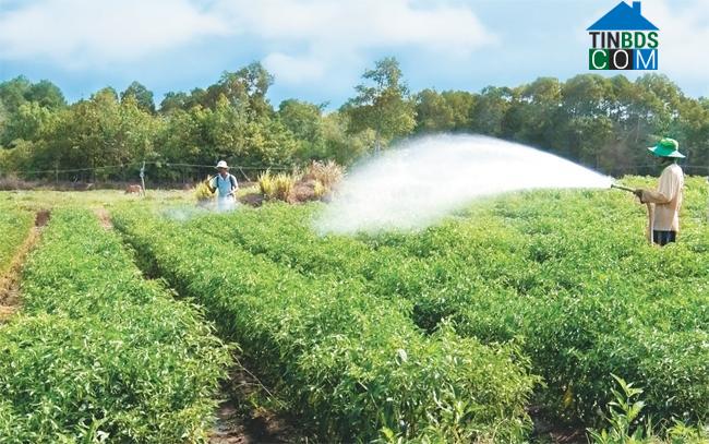 Hình ảnh Long Hiệp, Vĩnh Long