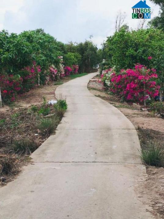 Hình ảnh Long Hữu, Vĩnh Long