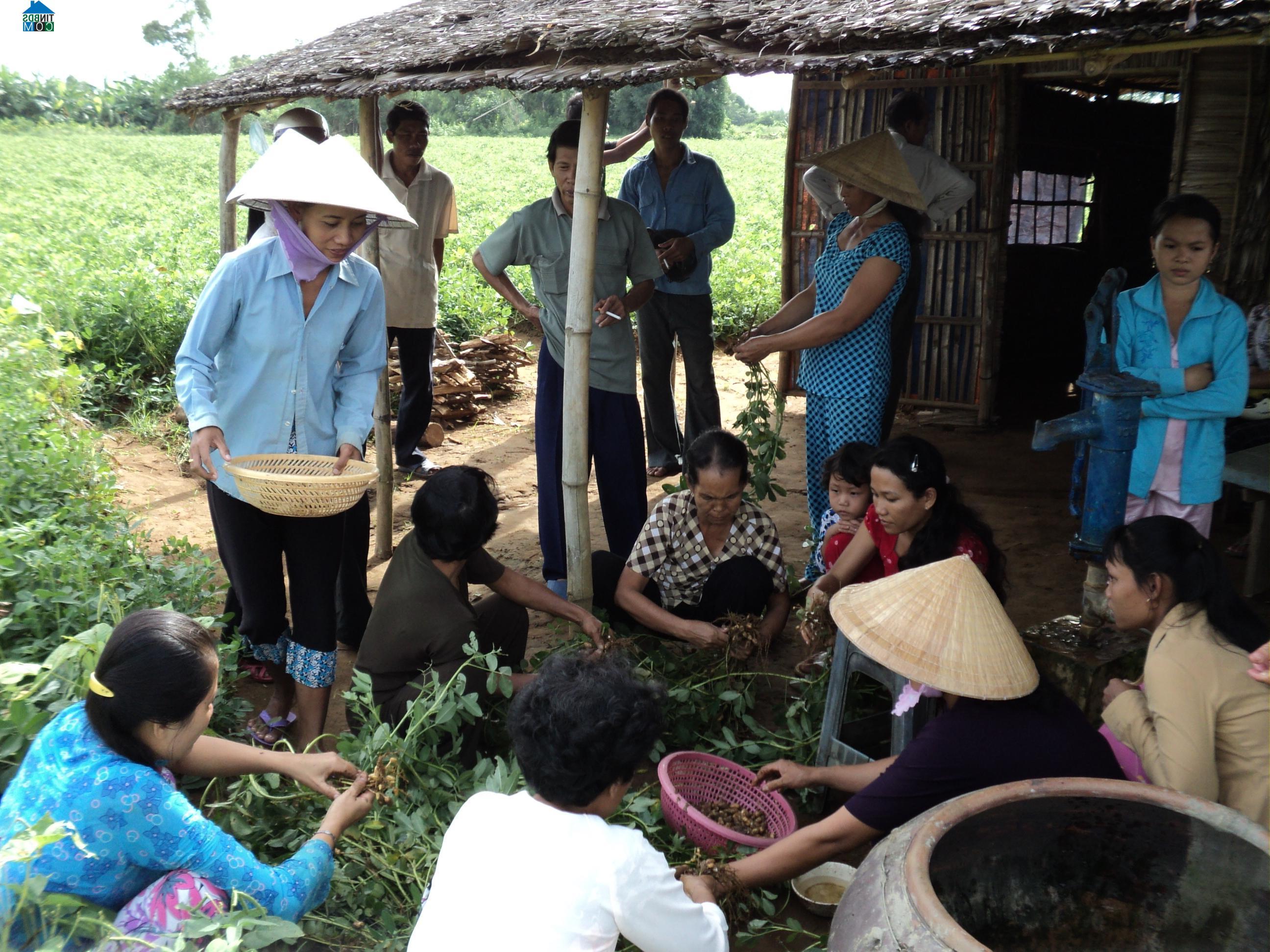 Hình ảnh Long Vĩnh, Vĩnh Long