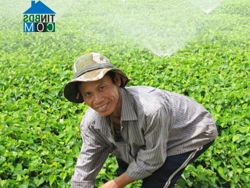 Hình ảnh Bình Minh, Vĩnh Long