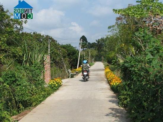 Hình ảnh Phú Phụng, Vĩnh Long