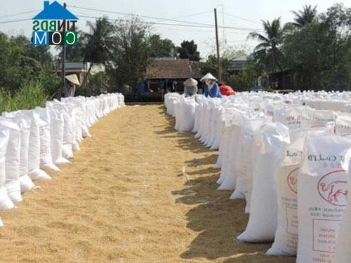 Hình ảnh Phú Quới, Vĩnh Long