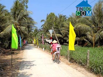 Hình ảnh Tân Hào, Vĩnh Long