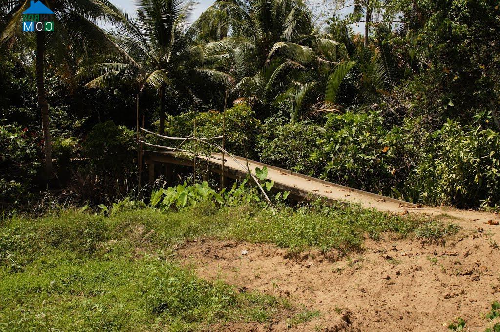 Hình ảnh Tân Hoà, Vĩnh Long