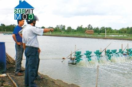 Hình ảnh Hoà Thành, Cà Mau