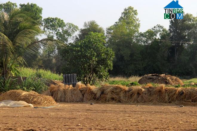 Hình ảnh Lai Hòa, Cần Thơ