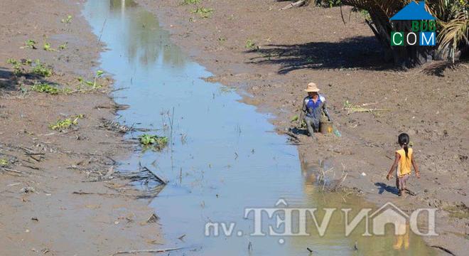 Hình ảnh Tài Văn, Cần Thơ
