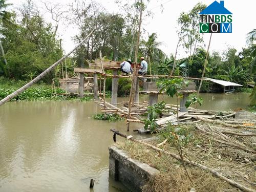 Hình ảnh Tân Long, Cần Thơ