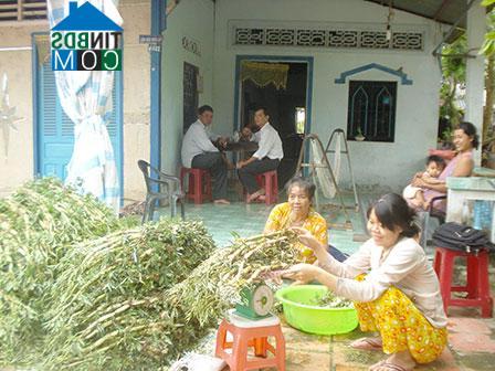 Hình ảnh Thới Long, Cần Thơ