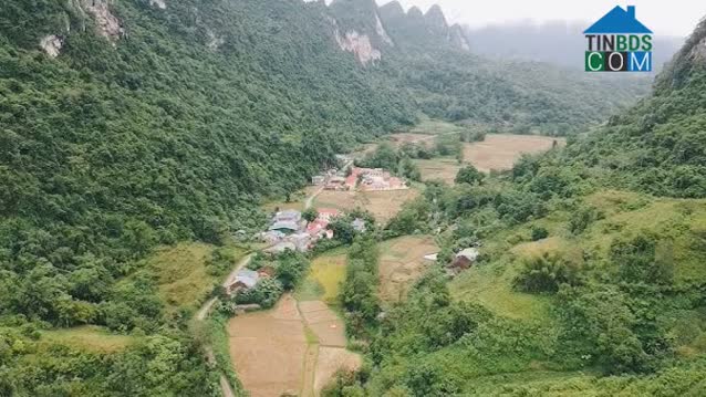 Hình ảnh Kim Đồng, Cao Bằng