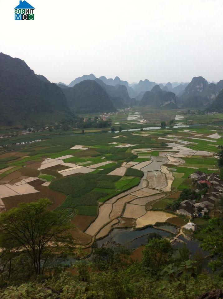 Hình ảnh Đình Phong, Cao Bằng