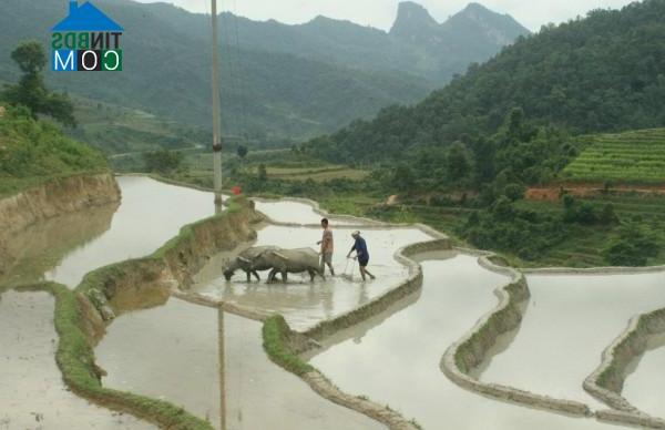 Hình ảnh Thành Công, Cao Bằng