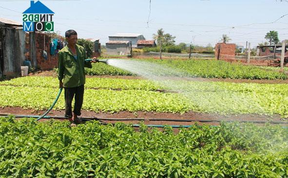 Hình ảnh Thành Nhất, Đắk Lắk