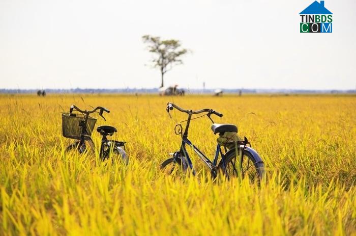 Hình ảnh Tuy An Nam, Đắk Lắk