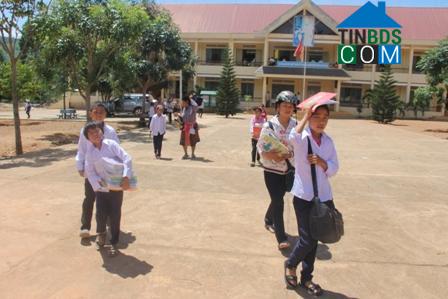 Hình ảnh Yang Mao, Đắk Lắk