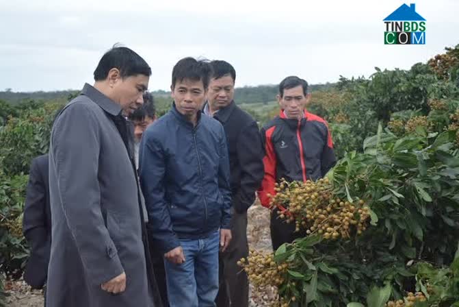 Hình ảnh Cư Prao, Đắk Lắk