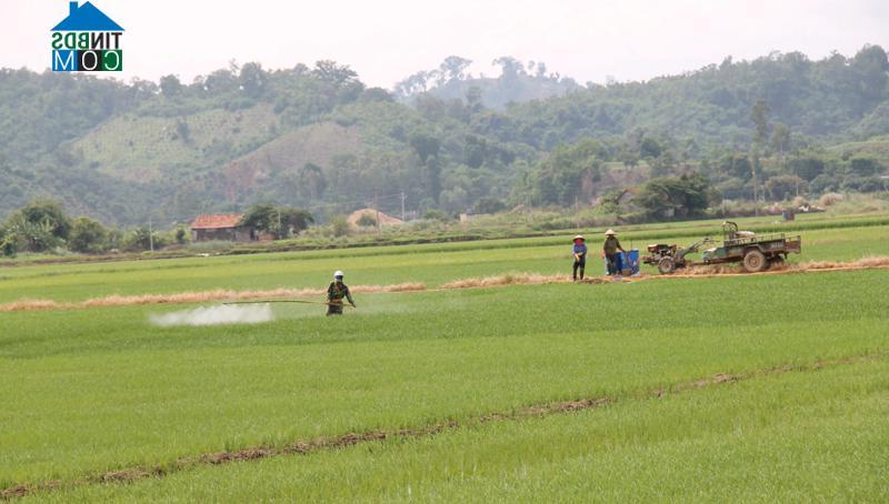 Hình ảnh Đắk Liêng, Đắk Lắk