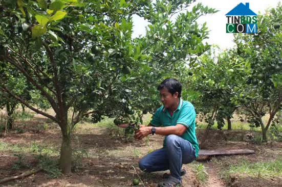 Hình ảnh Ea Bung, Đắk Lắk