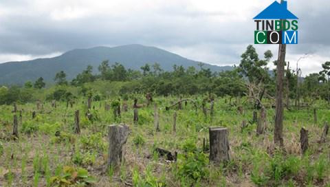 Hình ảnh Ea Hiao, Đắk Lắk