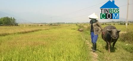 Hình ảnh Hòa Sơn, Đắk Lắk