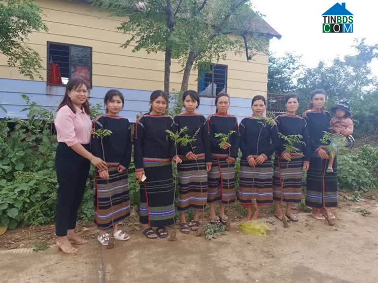 Hình ảnh M’Drắk, Đắk Lắk