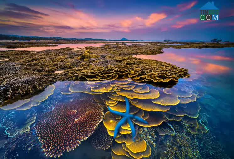 Hình ảnh Ô Loan, Đắk Lắk