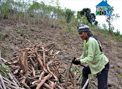 Hình ảnh Mường Nhà, Điện Biên