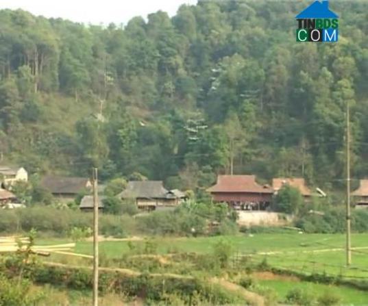 Hình ảnh Mường Phăng, Điện Biên