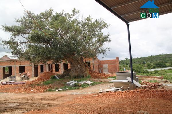 Hình ảnh Tân Tiến, Đắk Lắk