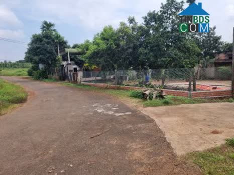 Hình ảnh Hòa Phú, Đắk Lắk